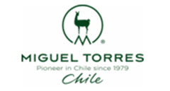 Chile_Torres